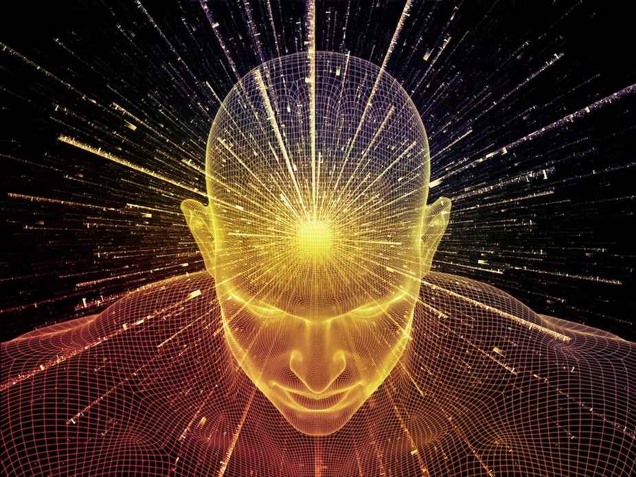 How the Mind Works : Consciousness