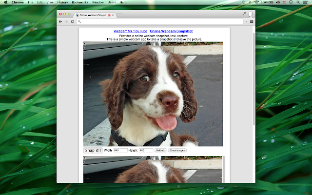 Screenshot of Webcam Recorder & Snapshot