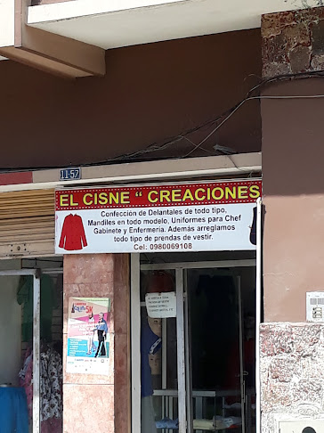 EL CISNE CREACIONES