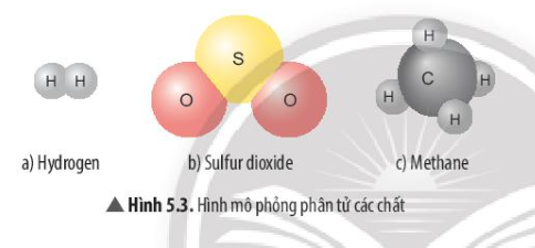 Câu hỏi trang 32 SGK TN&XH 7 CTST tập 1