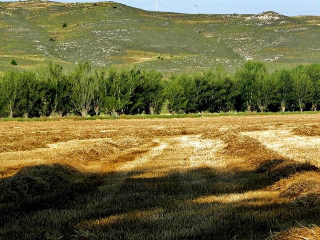 https://farm8.staticflickr.com/7423/9276296835_cfea0e6c51_z.jpg