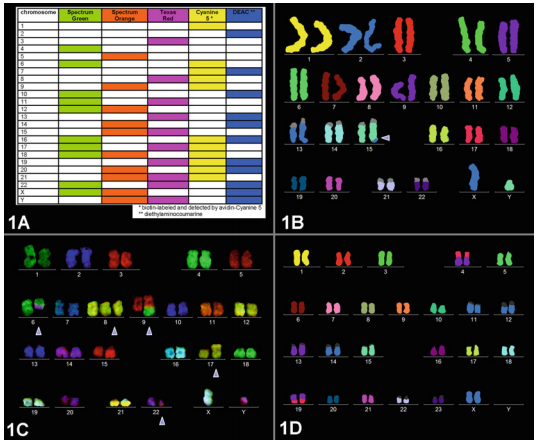 xgsu4Bi8RgvmZuHYE4klkE_OJftdv_pjL4Lw1RKvYxMTTvEZXdKlkF9gRGo3eUOpybwWUfiLDbjO1XHI6BjGJRC9aFuW99uRp3aNA12Ui6sciYVD3FJERKCDvjoxkeNZd1OwL1ng