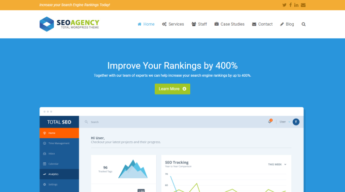 Tema WordPress SEO Total