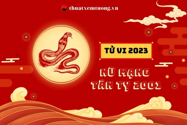 tu-vi-tuoi-tan-ty-2001-nam-2023-nu-mang