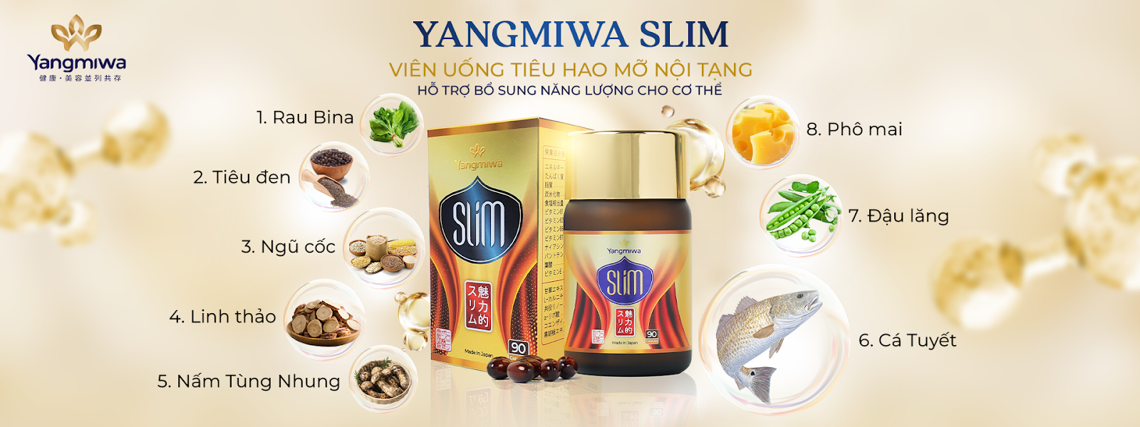 Hoat-chat-L-carnitine-giam-can-duoc-danh-gia-cao-nho-tac-dung