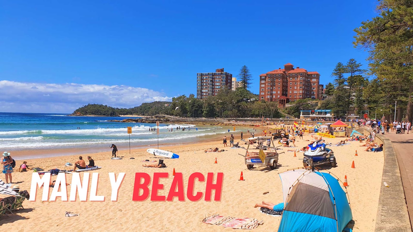 Manly Beach is The Best Beache To Collect Shells In Sydney