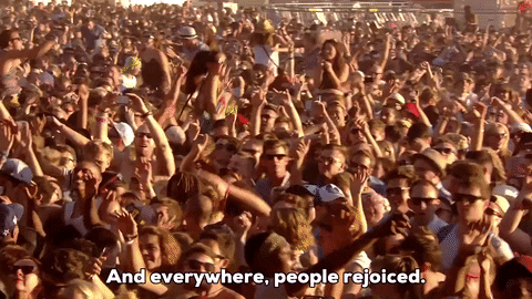 A GIF of a huge roaring crowd.