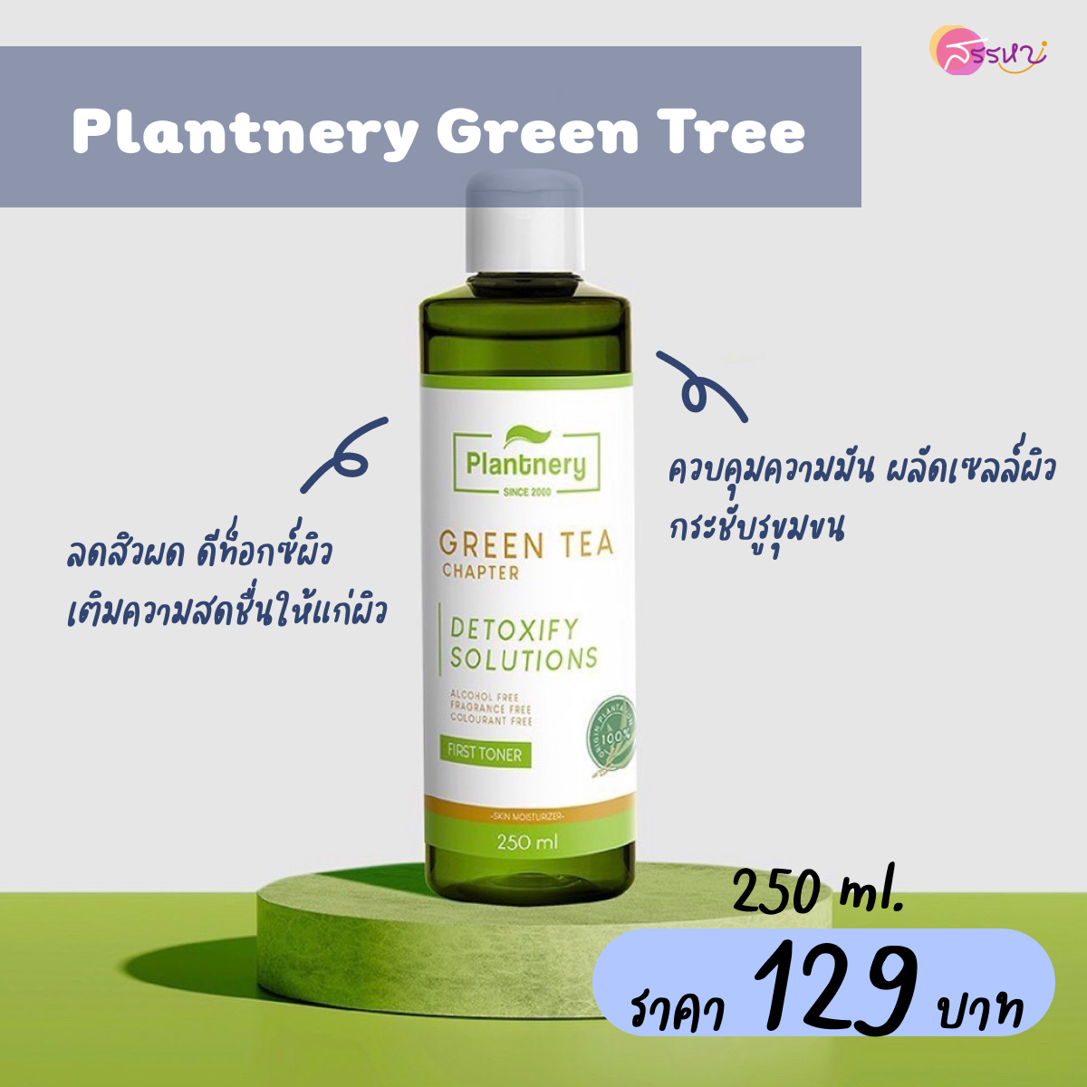 Plantnery Green Tree