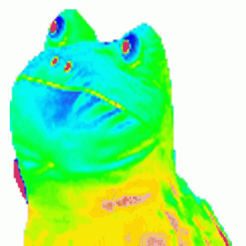 Image result for mlg frog gif