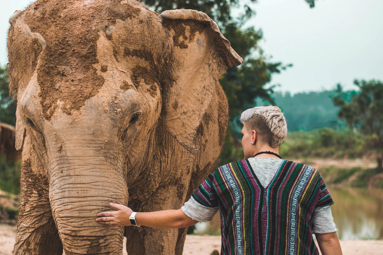 A tourist with an elephant at a sanctuary in Thailand.
