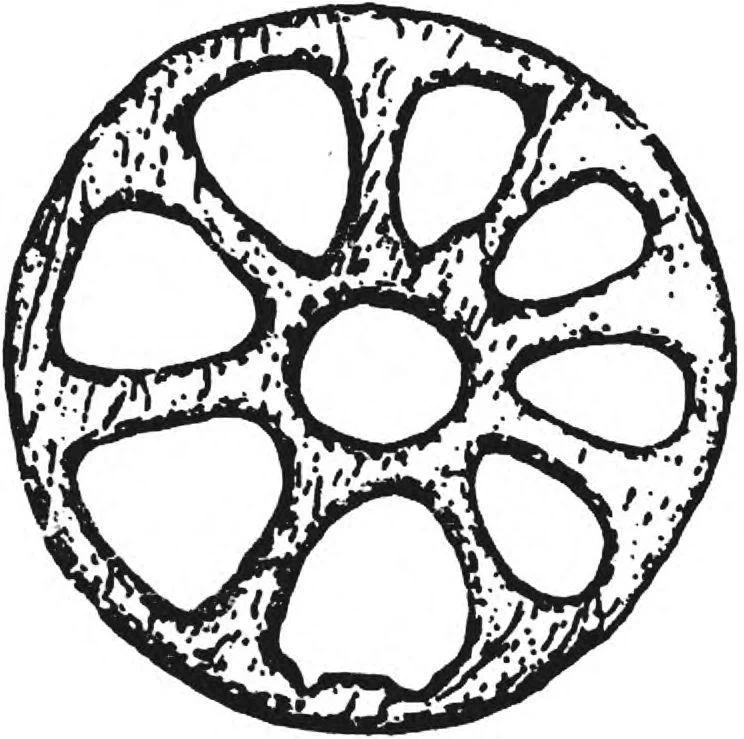 https://lh6.googleusercontent.com/k-BjBu9Dyq0_FtuO2Xo__EOSZpu032LqA0VgWIQcQh41f8EhlpPYsVZR7ZHtGwsaQziX0lycUrKA0abuDGV74IiO1PFXvb-wK8dhiNWShA8GrBaizS5Qc640mh3kPZTi6_noPPzBXZ-dTzmaNtcQ