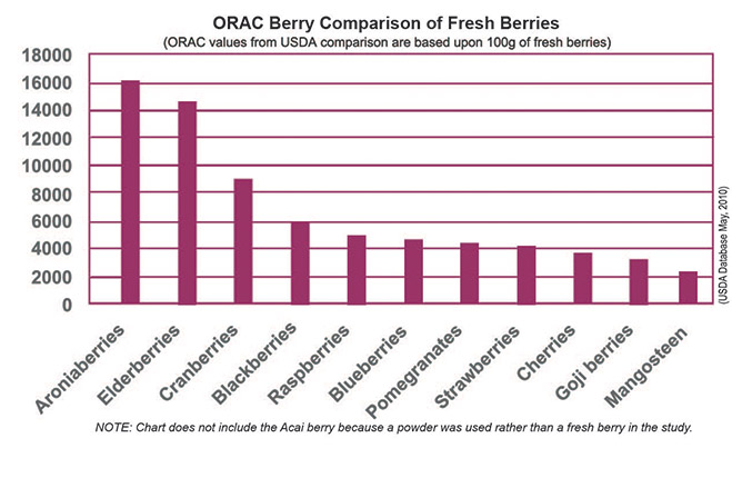 ORAC Berry Comparison of Fresh Berries