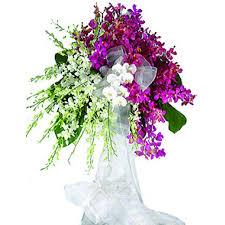C:\Users\THUY HANG\Desktop\images (2).jpg