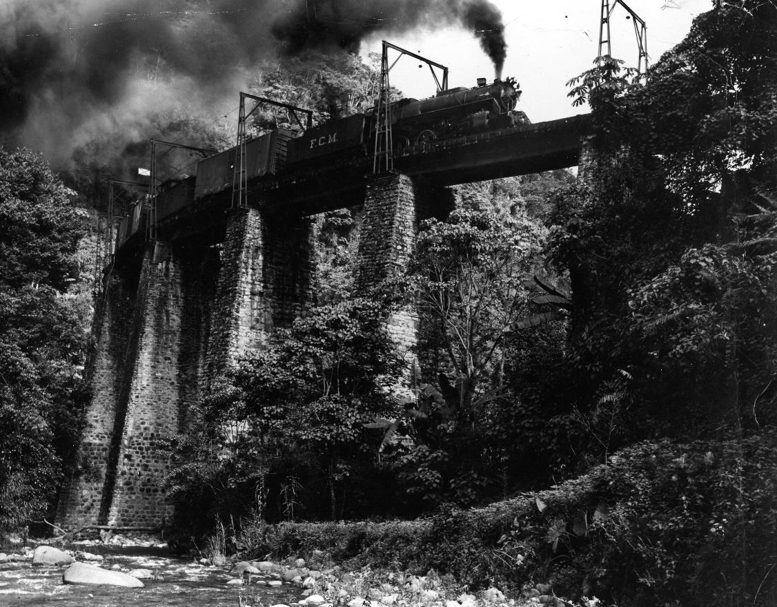 Imagen en blanco y negro de un puente en el bosque

Descripción generada automáticamente