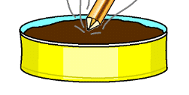 http://grafikkhb.webs.com/fluks.gif