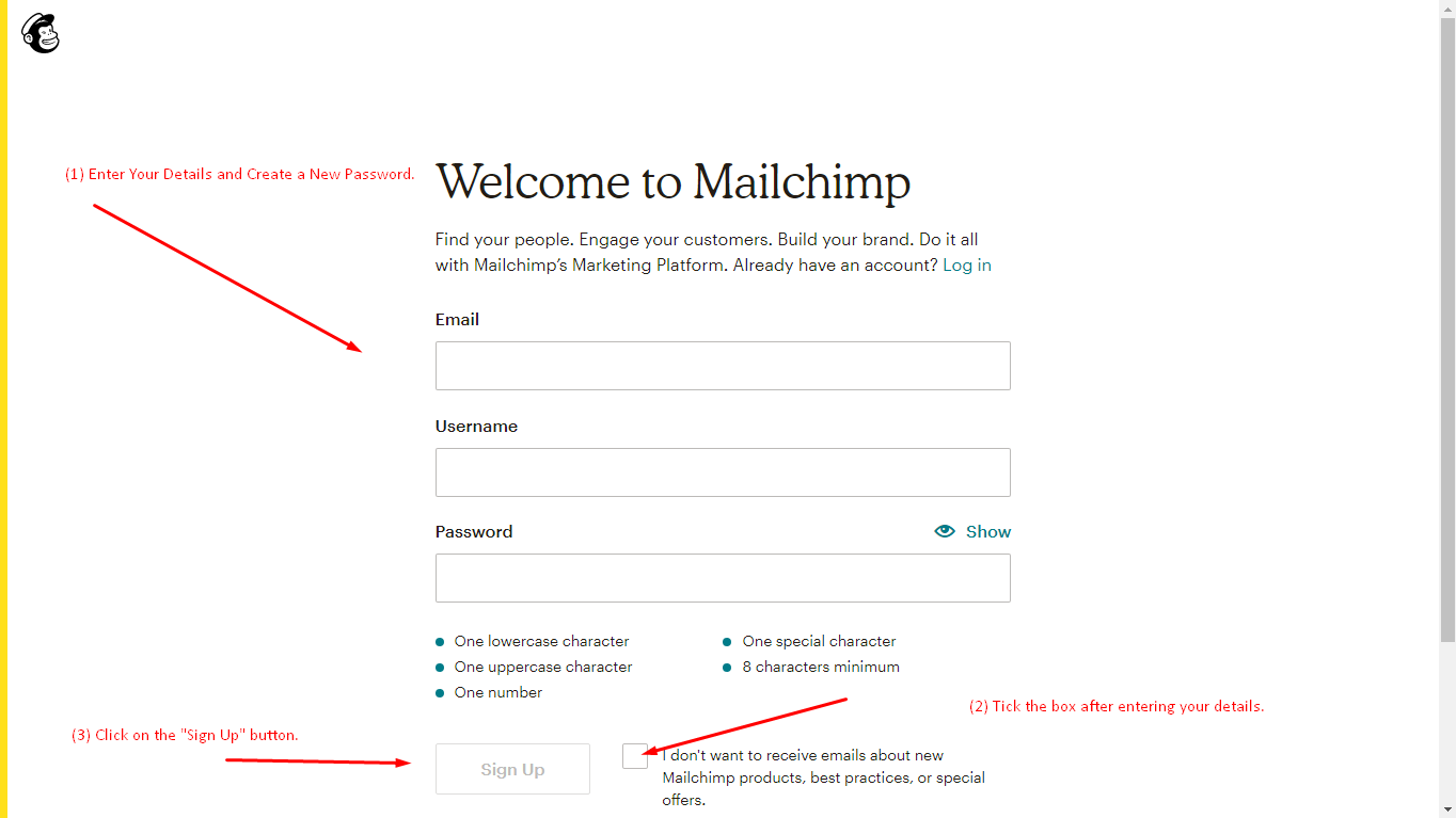 Mailchimp 21.png