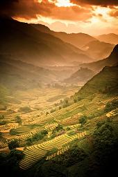 Sapa Rice Terrace Vietnam Vietnam Tour Holiday Vacation