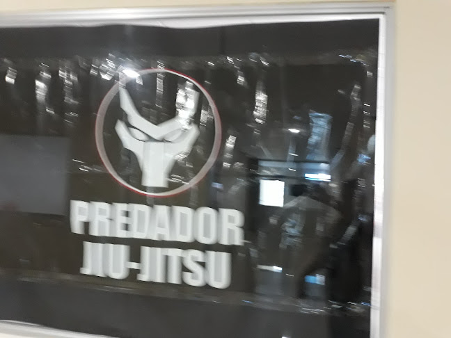 Opiniones de Predator Jiu-Jitsu en Guayaquil - Escuela