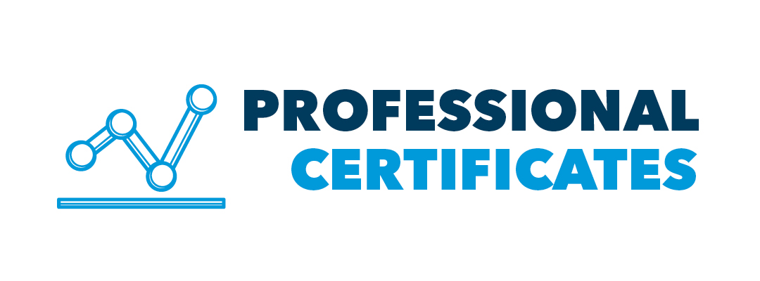 Explore Our Professional Certificates