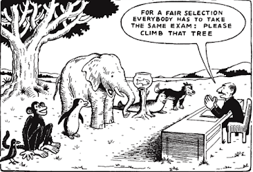 Cartoon: various animals, birds, fish lined up in front of a tree. Teacher: 'for a fair selection everybody has to take the same exam: please climb that tree.'