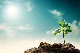 Change in environment