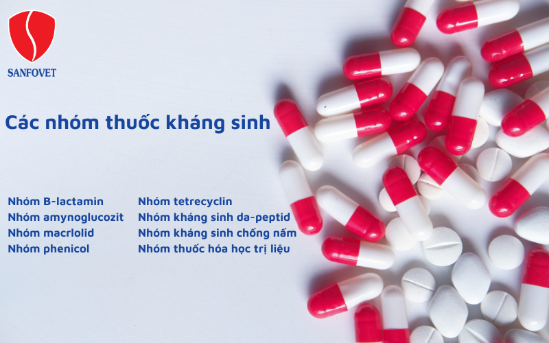 các nhóm thuốc kháng sinh