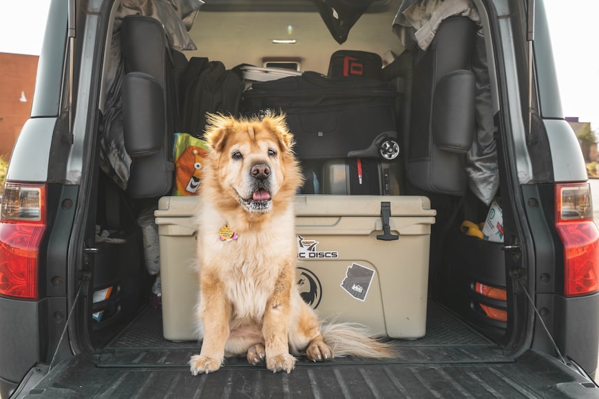 Organize Your Vehicle All Year Long!