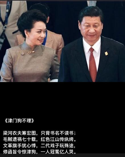 权毒——梦国之毛病恶习/朱民泽