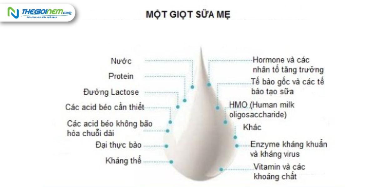 5 việc mẹ bỉm cần làm để kích sữa đủ cho bé ti