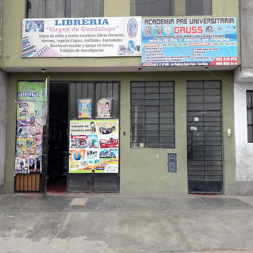 Libreria Virgen De Guadalupe