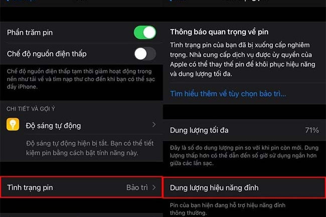 Dung lượng hiệu năng đỉnh