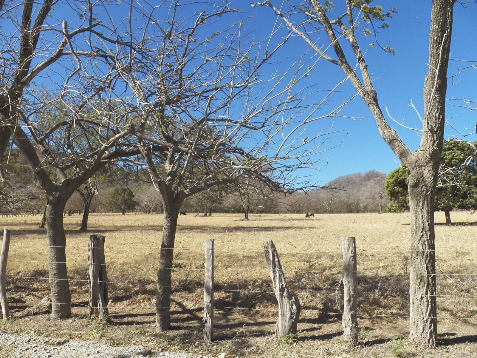 Guanacaste, Costa Rica