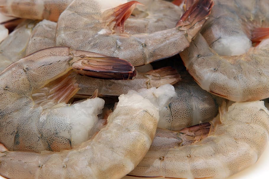 seafood shrimp