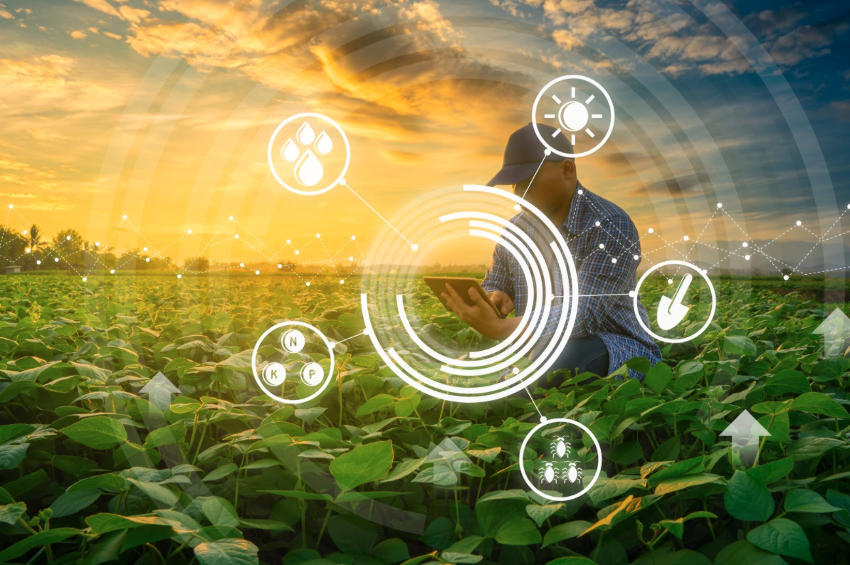 FieldView - Beneficios de la Big Data en la agricultura
