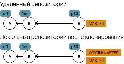 репозитории после клонирования