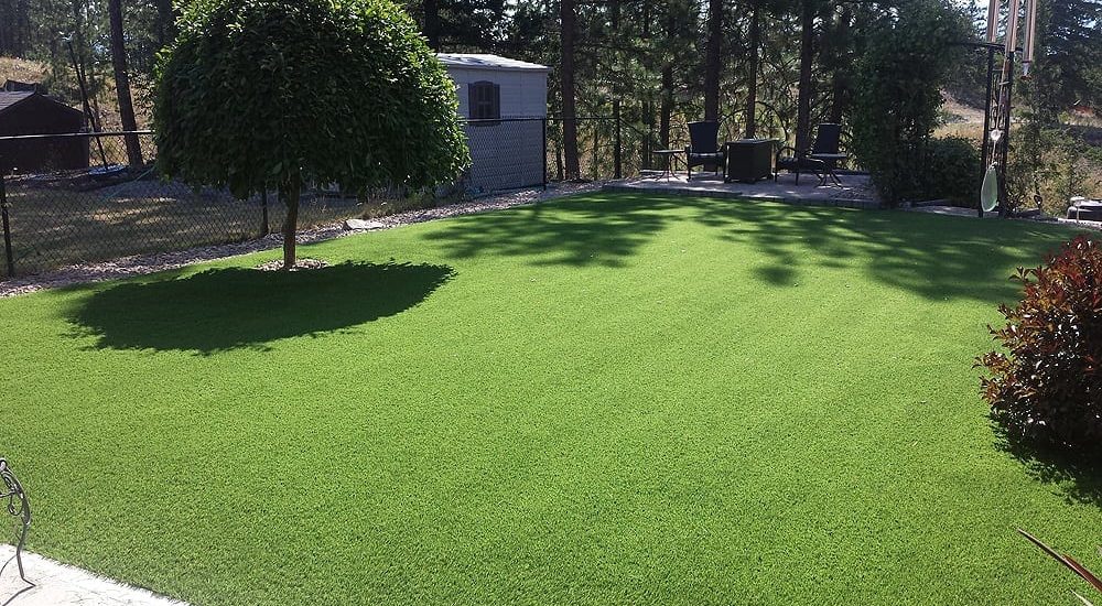 Top 5 Reasons To Choose Artificial Turf In UAE