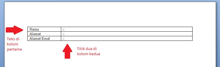 Ketik teks di kolom pertama dan tanda titik dua di kolom sebelahnya