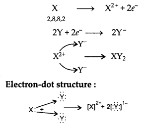 CBSE Previous Year Question Papers Class 10 Science 2017 Outside Delhi Term 2 Set III Q10