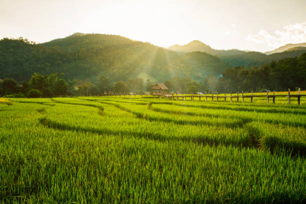 Top 10 Most Beautiful Places To Visit In Thailand