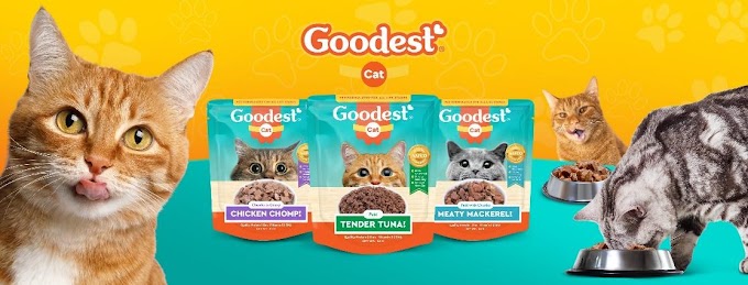 Goodest cat food - These new flavors will leave your cat meowing for more 