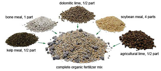 Types of <span class='ent _Organic_Fertilizers'><span class='ent _Organic_Fertilizers'><span class='ent _Organic_Fertilizers'><span class='ent _Organic_Fertilizers'><span class='ent _Organic_Fertilizers'><span class='ent _Organic_Fertilizers'><span class='ent _Organic_Fertilizers'><span class='ent _Organic_Fertilizers'><span class='ent _Organic_Fertilizers'><span class='ent _Organic_Fertilizers'><span class='ent _Organic_Fertilizers'><span class='ent _Organic_Fertilizers'><span class='ent _Organic_Fertilizers'><span class='ent _Organic_Fertilizers'><span class='ent _Organic_Fertilizers'><span class='ent _Organic_Fertilizer'><span class='ent _Organic_Fertilizer'><span class='ent _Organic_Fertilizer'><span class='ent _Organic_Fertilizer'><span class='ent _Organic_Fertilizer'><span class='ent _Organic_Fertilizer'><span class='ent _Organic_Fertilizer'><span class='ent _Organic_Fertilizer'>Organic Fertilizer</span></span></span></span></span></span></span></span>s</span></span></span></span></span></span></span></span></span></span></span></span></span></span></span> You Can Make at Home
