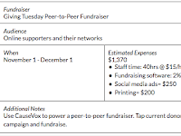 Development Plan Template Nonprofit