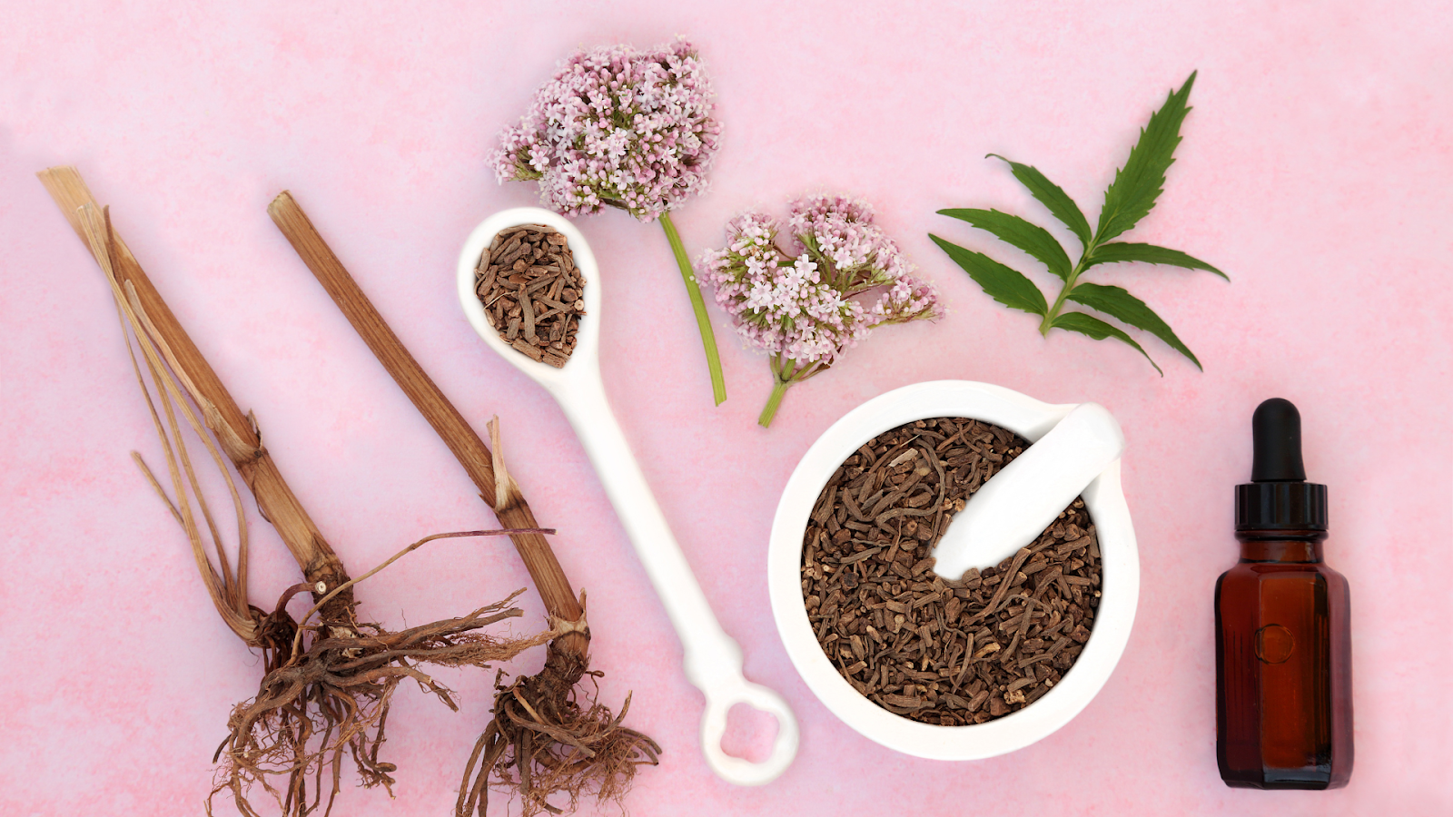 Valerian for relaxation and sleep