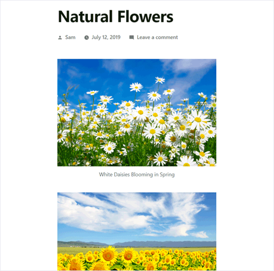 Adicionando várias imagens na postagem do WordPress sem criar uma galeria