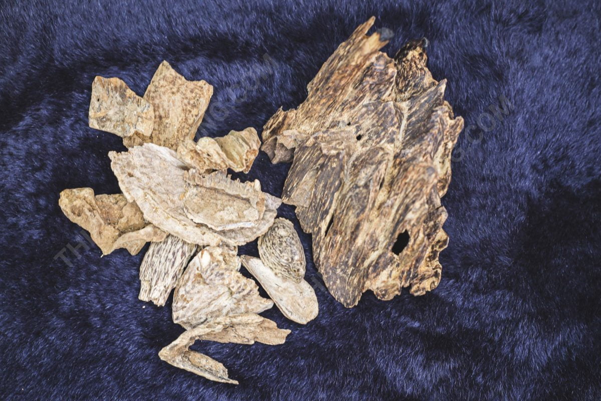 Nguồn gốc gỗ Trầm hương