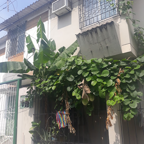 Semar - Guayaquil