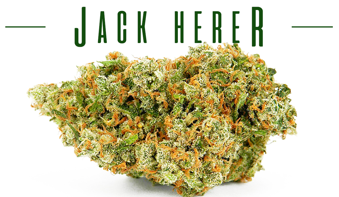 Jack Herer Branded Cannabis