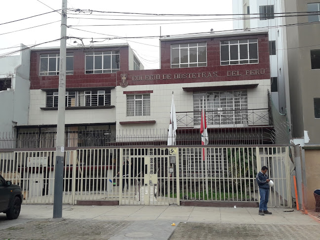 Opiniones de Colegio Nacional De Obstetras Del Perú en Pueblo Libre - Escuela
