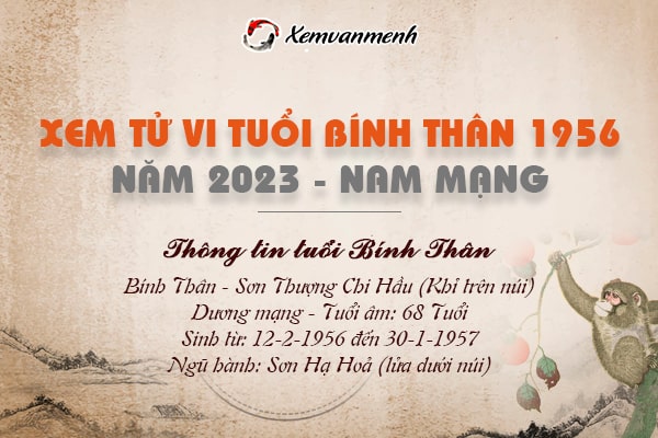 Tử vi tuổi Bính Thân nam mạng năm 2023 