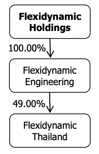 Flexidynamic share price